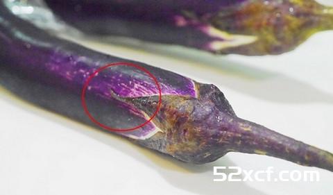 茄子热沙拉的做法