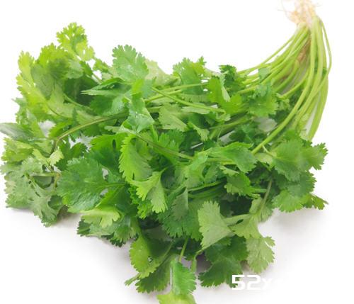 男人吃香菜好吗？男人香菜吃多了对身体有影响吗