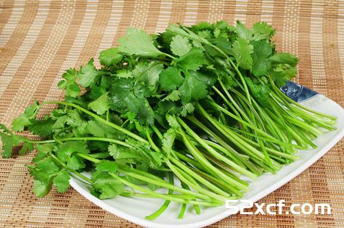 男人吃香菜好吗？男人香菜吃多了对身体有影响吗