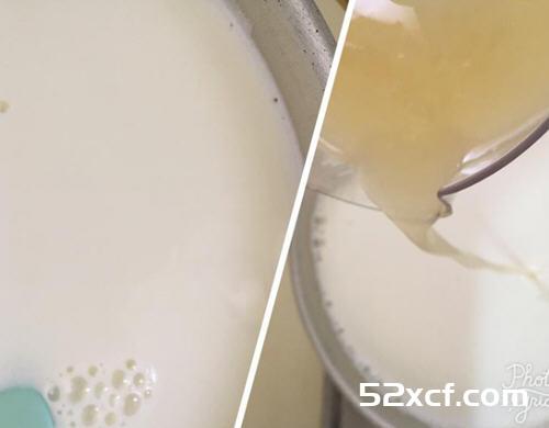 自制cream cheese奶油乳酪的做法