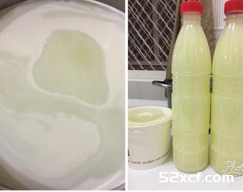 自制cream cheese奶油乳酪的做法