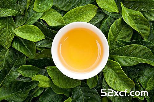 养肝护肝茶：喝什么茶养肝护肝