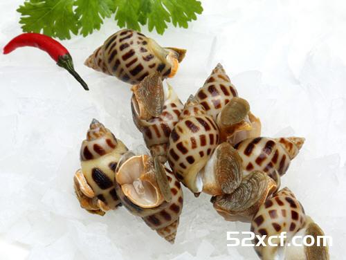 花螺的营养价值_花螺对人体的营养价值解析