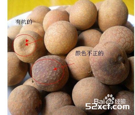 龙眼的挑选方法图解