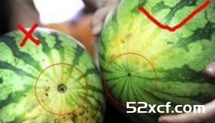 水果贩子教你怎么挑好水果