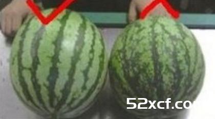 水果贩子教你怎么挑好水果
