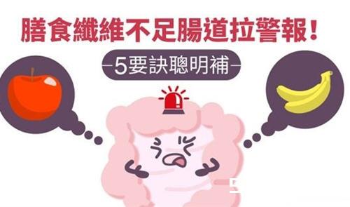 膳食纤维不足肠道拉警报的5大聪明解救办法