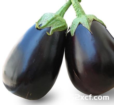 夏季吃什么蔬菜好？多吃瓜类凉性有“杀菌”功效的蔬菜
