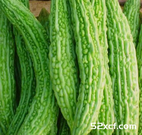 夏季吃什么蔬菜好？多吃瓜类凉性有“杀菌”功效的蔬菜