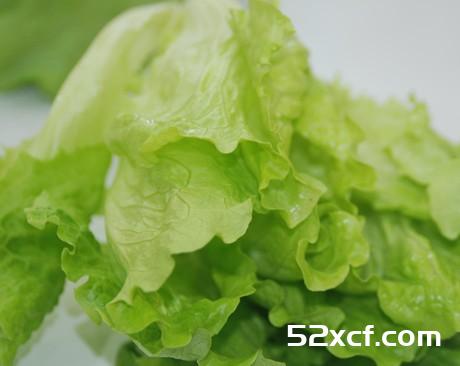 夏季吃什么蔬菜好？多吃瓜类凉性有“杀菌”功效的蔬菜