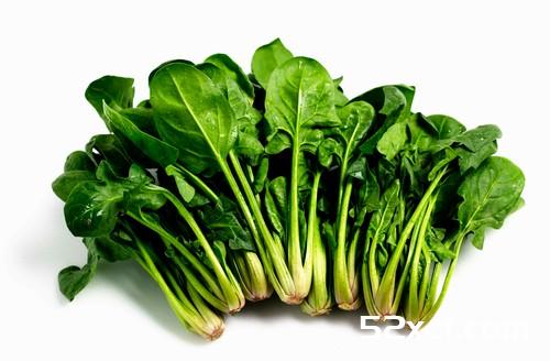 秋季气温干燥四类清火食物需多吃