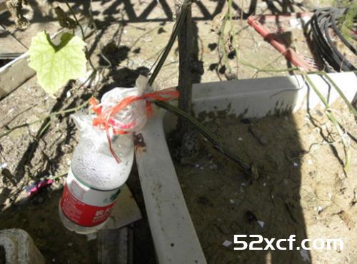丝瓜水怎么提取？自制丝瓜提取丝瓜水图文教程