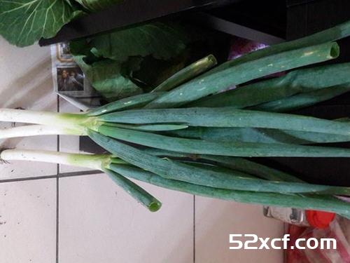 韩式泡菜鸡肉京葱披萨的做法