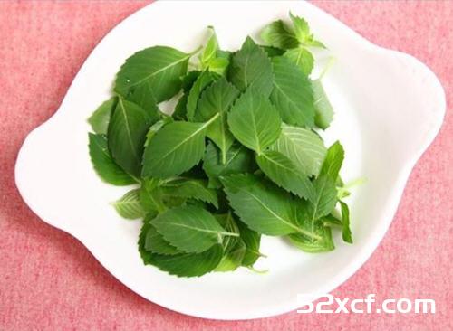 泰式打抛鸡正宗的做法