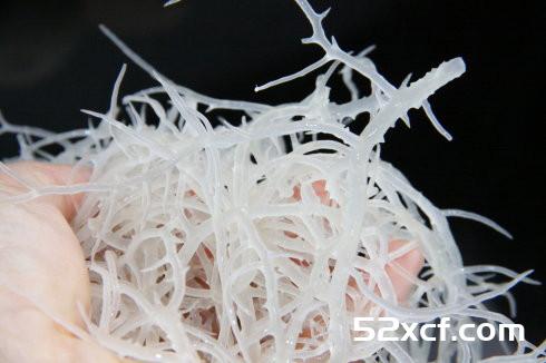 凉拌石花菜的做法