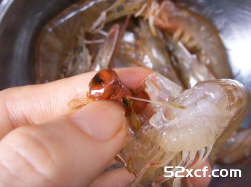 3秒去除虾子肠泥方法图解