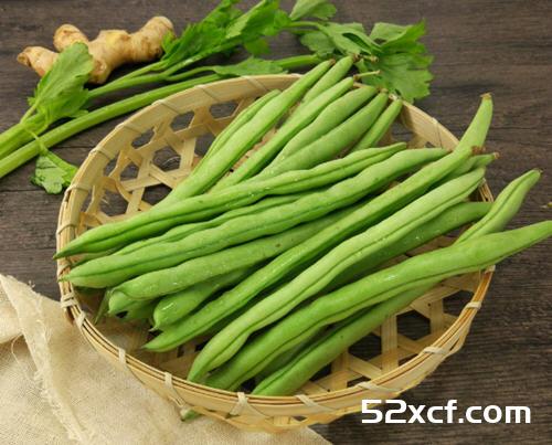 四季豆的挑选方法和技巧图解