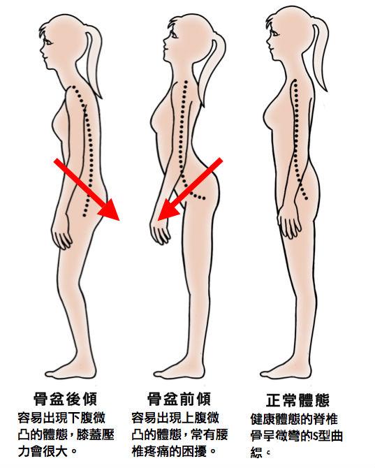 胖肚子是怎么回事