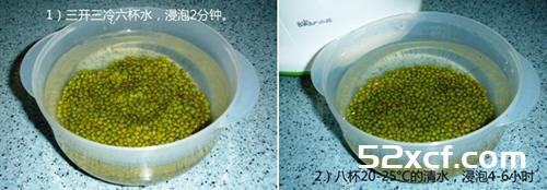 家庭发豆芽菜机如何发豆芽图文教程