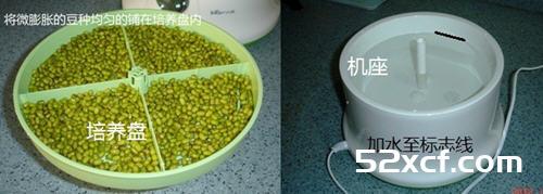 家庭发豆芽菜机如何发豆芽图文教程