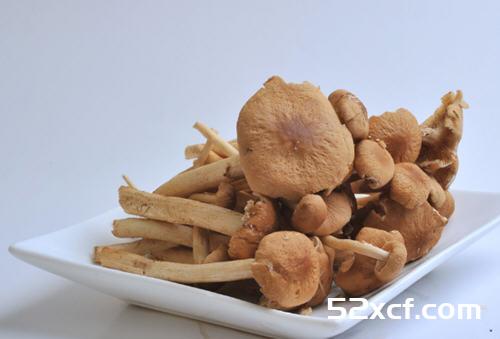 香菇根部能吃吗？香菇的根可不可吃？