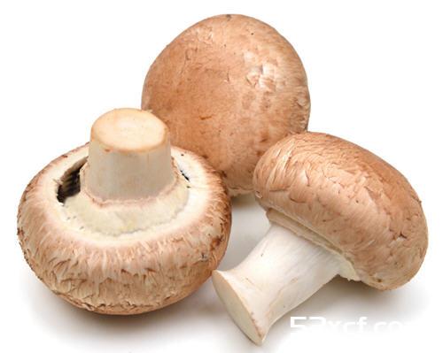 香菇根部能吃吗？香菇的根可不可吃？