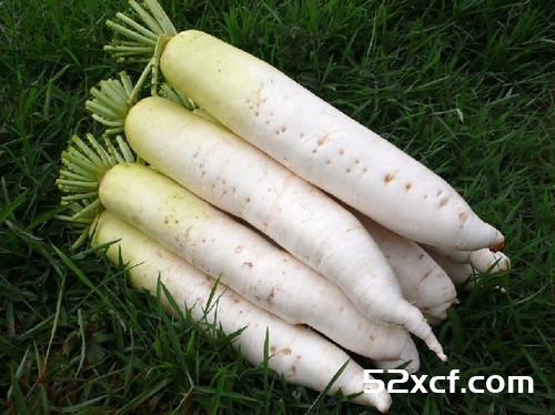 5种食物帮你排便