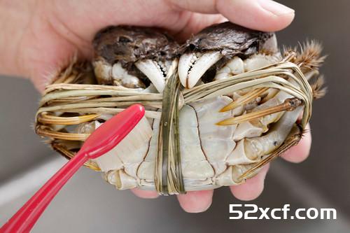 大闸蟹吃法图文教程