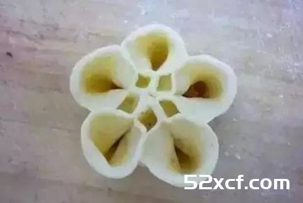 牡丹饺子的包法
