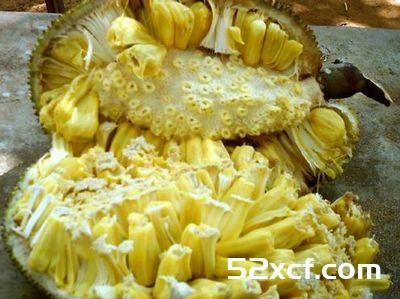 菠萝蜜怎么切图解