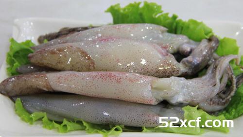 笔管鱼是鱿鱼吗？笔管鱼和鱿鱼的区别在哪