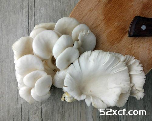 炒平菇需要焯水吗？平菇不焯水可以吗会不会中毒？