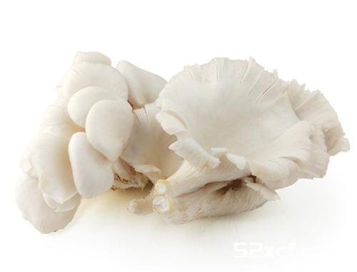 炒平菇需要焯水吗？平菇不焯水可以吗会不会中毒？