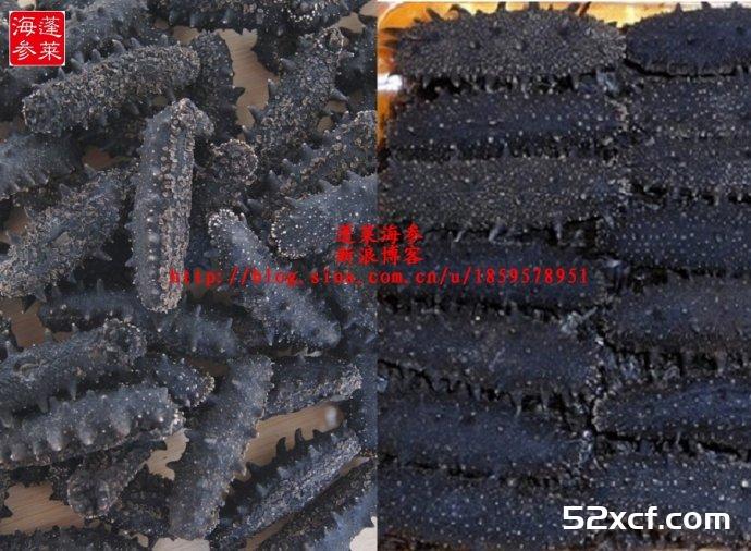 滋补用的干海参如何选购方法图文讲解