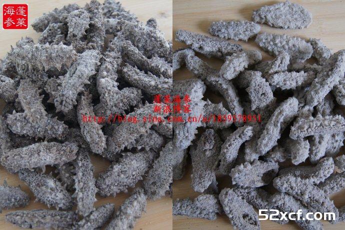 滋补用的干海参如何选购方法图文讲解