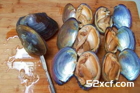 河蚌正确清洗方法图文教程