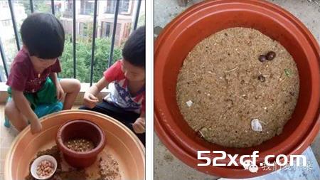 家庭发花生芽的方法图解