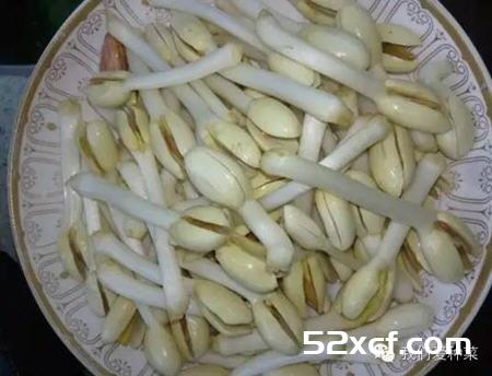 家庭发花生芽的方法图解