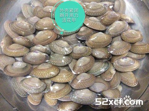 新鲜活花甲挑选方法和技巧图解