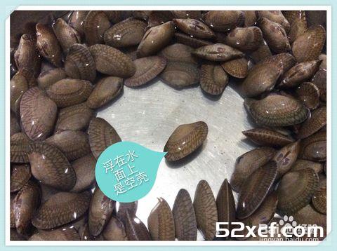 新鲜活花甲挑选方法和技巧图解