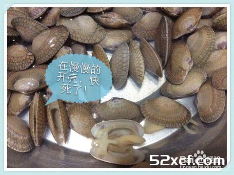 新鲜活花甲挑选方法和技巧图解