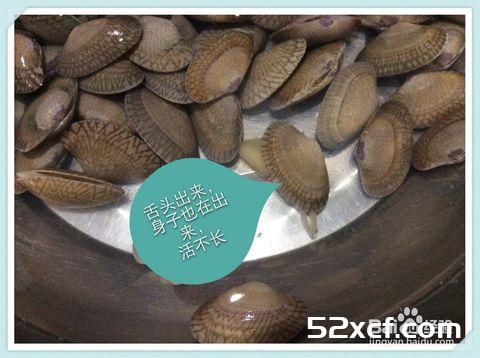 新鲜活花甲挑选方法和技巧图解