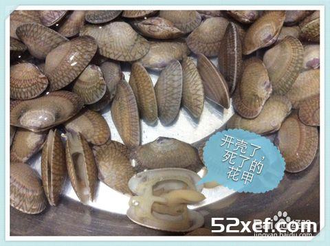 新鲜活花甲挑选方法和技巧图解