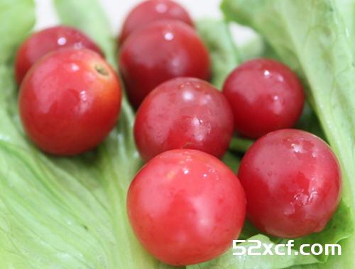 海南千禧果是转基因食品吗？