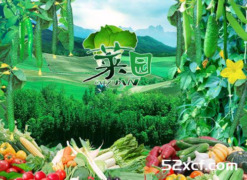 厨房里有9个“食物医生”都是防病治病高手