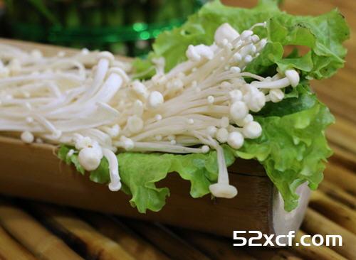 脂肪终的结者金针菇冰块加入菜中入味减脂