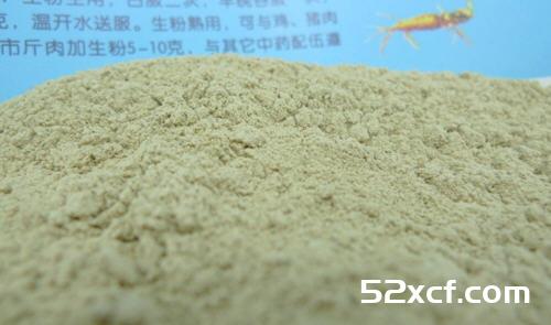 三七粉苦的好还是不苦的好？购买三七粉是越苦越好吗？