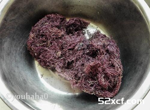 石花菜怎样做凉粉