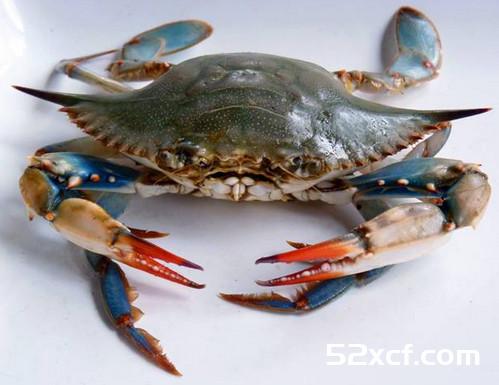 海蟹死了多久不能吃