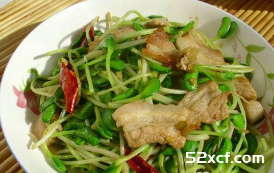黑豆芽炒肉的做法